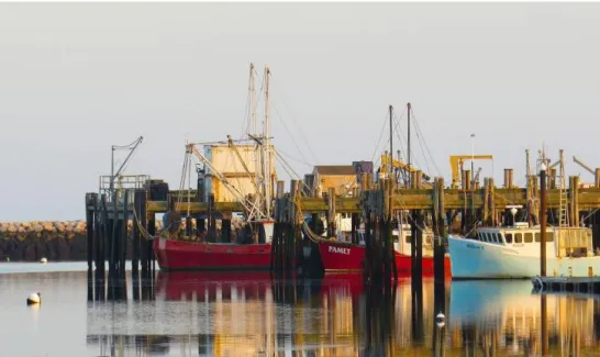 New England- Cape Cod